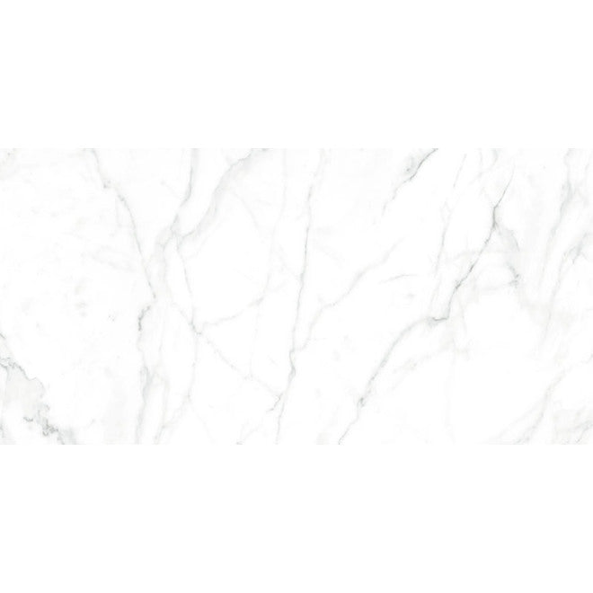 12" × 24" Polished Carrara Marble-Style Porcelain Tile