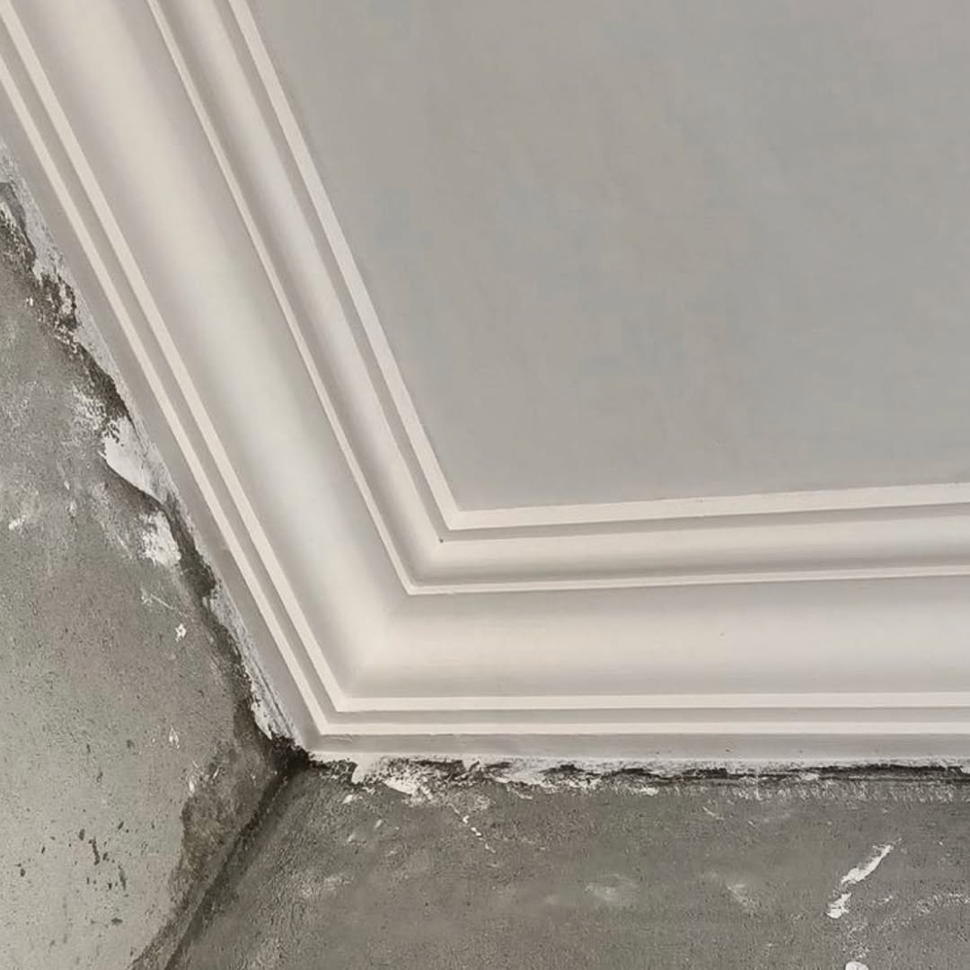 Professional Removal and Refinishing