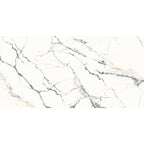 24" × 48" Calacatta Borealis Polished Porcelain Tile
