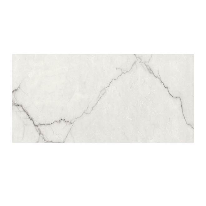 24" × 48" Calacatta Ventura Polished Porcelain Tile