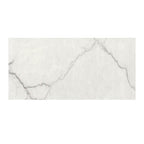 24" × 48" Calacatta Ventura Polished Porcelain Tile