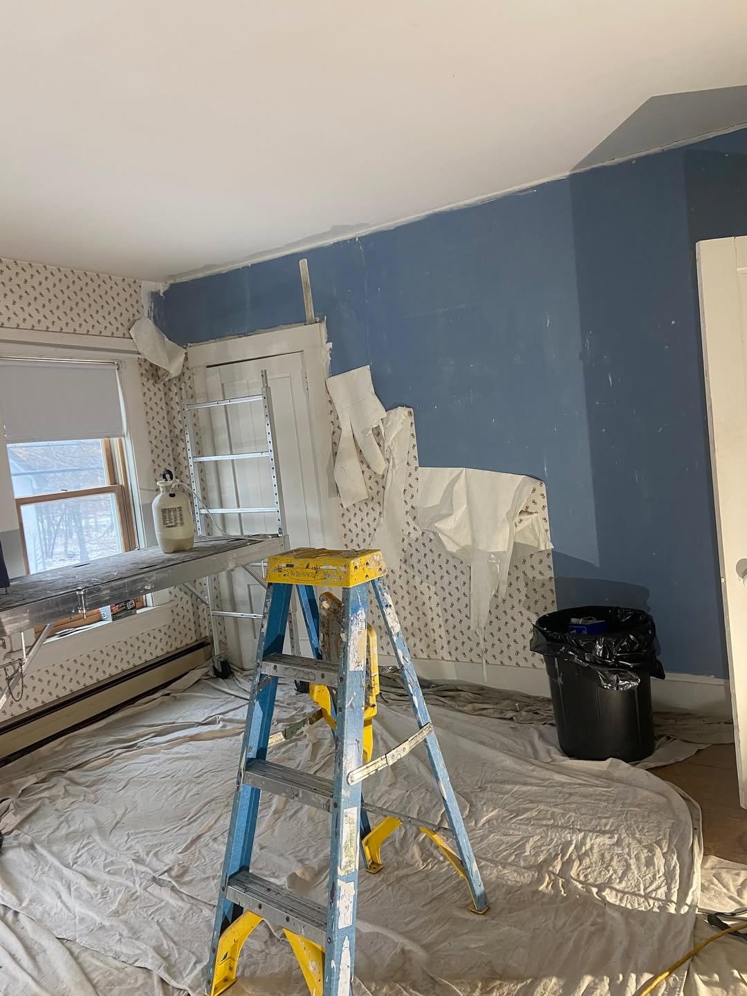 Professional Removal Without Damaging Your Walls